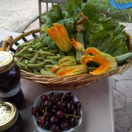 Guest house Allo Scoglio - Azienda Agricola Trieste