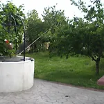Allo Scoglio - Azienda Agricola * 的里雅斯特