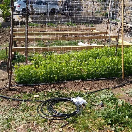 Гостьовий будинок Allo Scoglio - Azienda Agricola