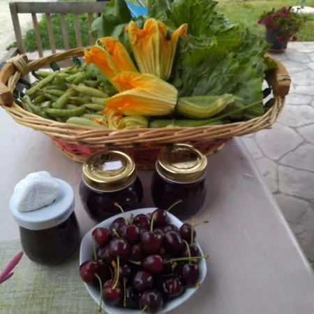 Guest house Allo Scoglio - Azienda Agricola *