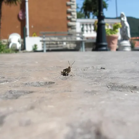 Allo Scoglio - Azienda Agricola * Trieszt