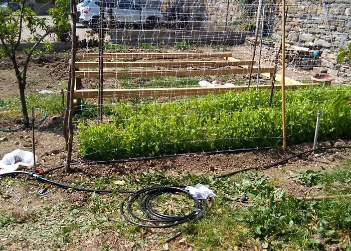 Maison d'hôtes Allo Scoglio - Azienda Agricola