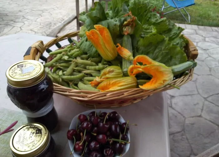 Guest house Allo Scoglio - Azienda Agricola Trieste