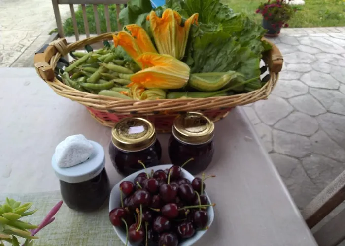 Guest house Allo Scoglio - Azienda Agricola *