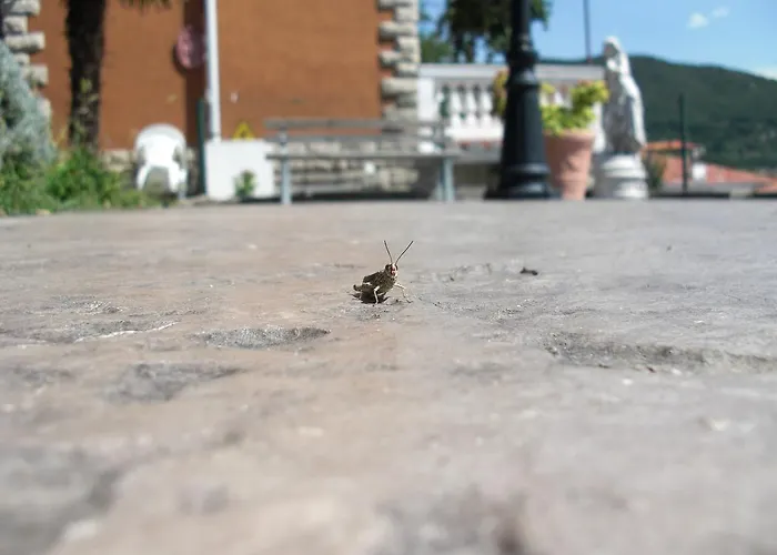 Allo Scoglio - Azienda Agricola * Trieste