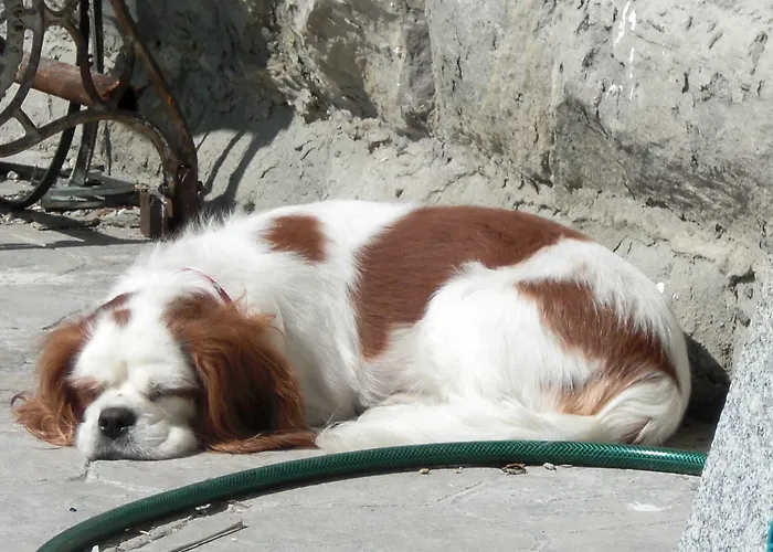 Allo Scoglio - Azienda Agricola Trieste