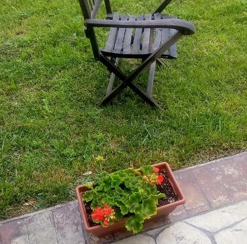 Guest house Allo Scoglio - Azienda Agricola Trieste